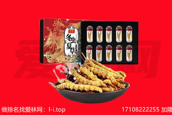 长乐区回收虫草.jpg